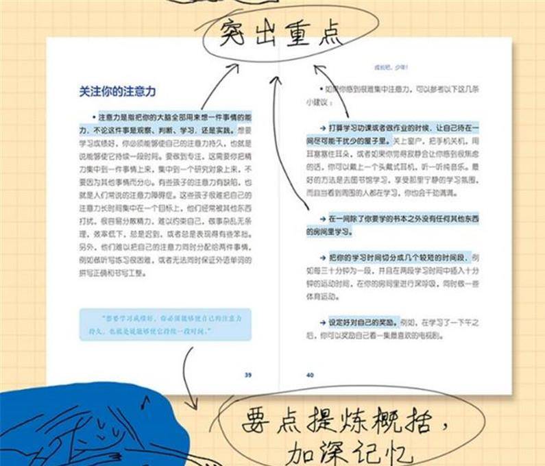 管家婆一肖一码一中与性执释义，深度解析与实际应用