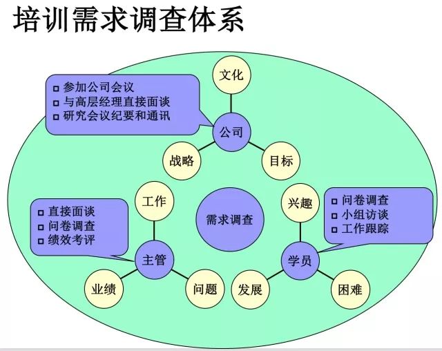 新澳天天开奖资料大全第103期，释义解释与落实提升策略