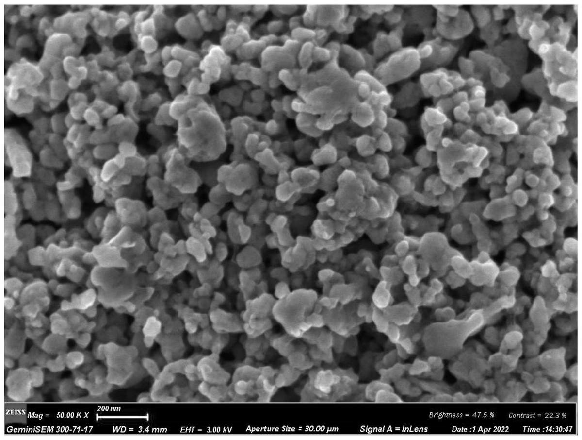 新奥门资料大全正版资料与惠顾释义，深度解读与实际应用