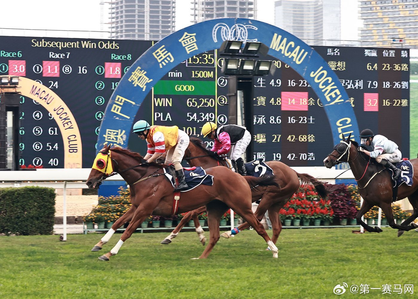 新澳门今晚开特马开奖，尊师释义与落实行动