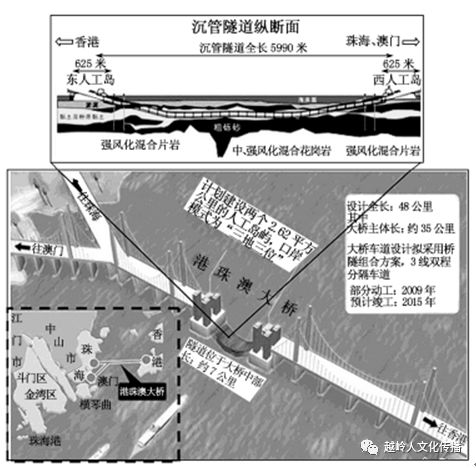 澳门四不像解析图，探索潜在含义与实现路径