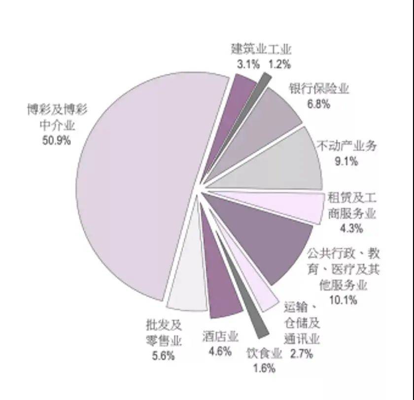 澳门新气象，展望2025，解析天天好彩背后的深意