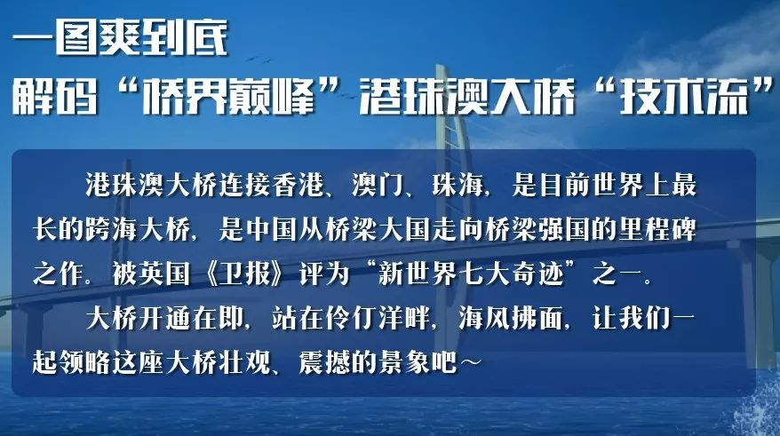 探索未来，解读新澳精准正版资料与至深释义的落实之道