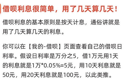 揭秘最准一肖，深度解析权计释义与资料落实之道