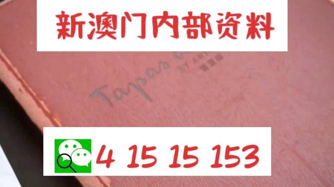 澳门内部最精准免费资料特点与务实释义解释落实