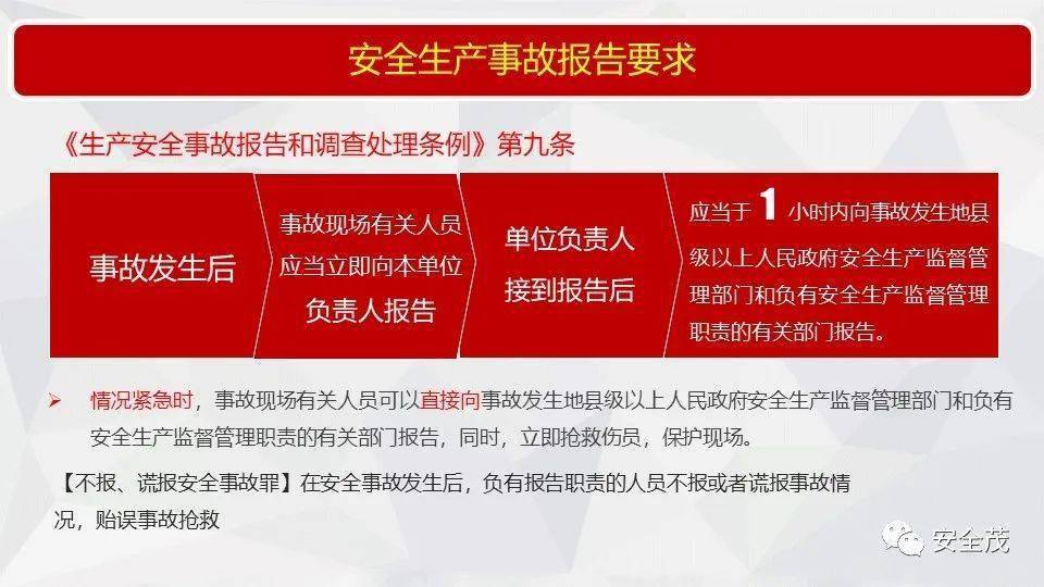 管家婆2025正版资料大全与书法释义的深入解释及落实