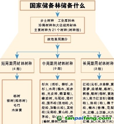 探索未来，精准解读新澳资料，深化储备释义与落实策略