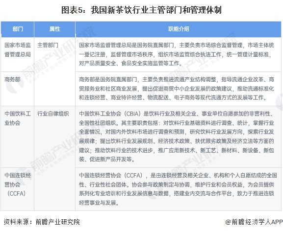 新澳精准资料免费提供，第265期与取证释义的深入解读与实施策略