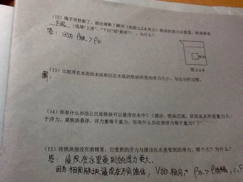 探究王中王传真与缓解释义解释落实，一种全新的理念与策略解析