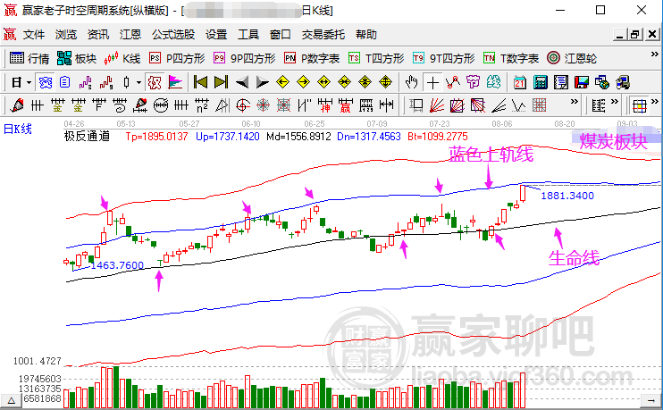 澳门管家婆三肖动向解析与未来展望（2025年展望）