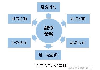 揭秘融资背后的玄机，跑狗、融资释义与落实策略