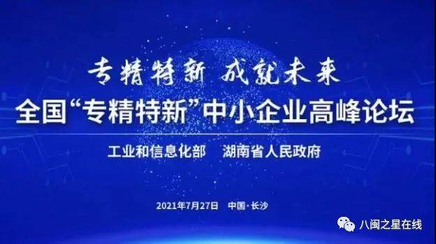 新澳今晚开什么特马仙传，考察释义解释落实的重要性