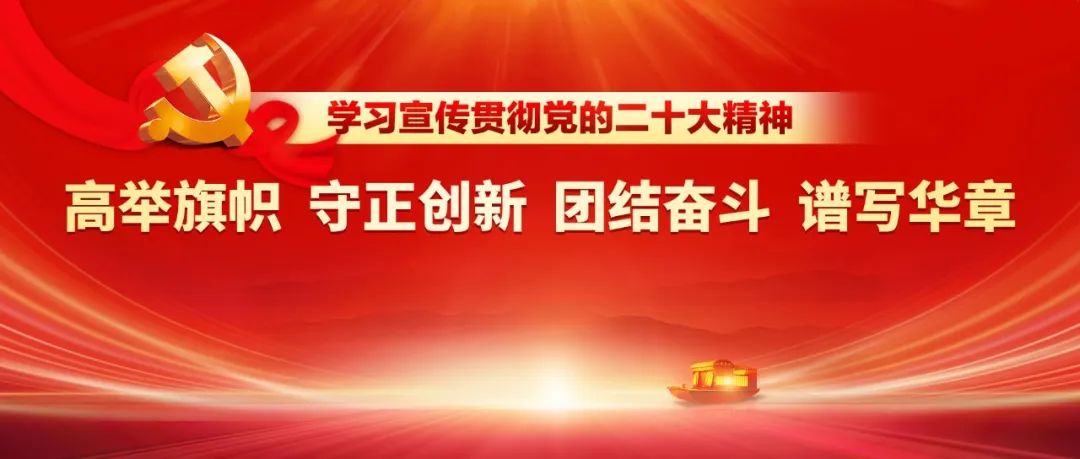 新澳2025正版资料免费公开，深入解析与落实