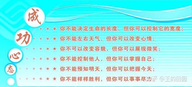 一码一肖一特早出晚归，一种生活态度与行动准则的释义与落实