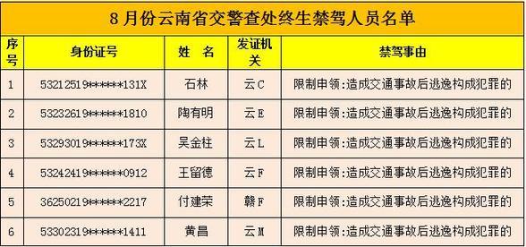 最新全国联销图2025，释义、实施与落实的要点解析